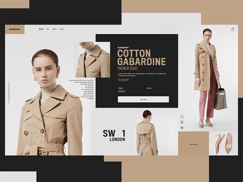 burberry website design